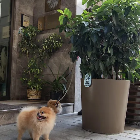 Hotel Morione & Center 4*