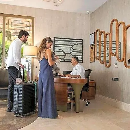 Morione & Center Hotel Estambul