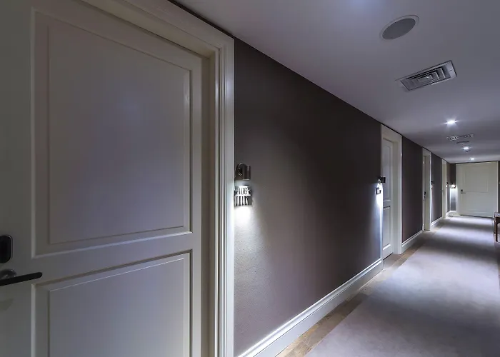 Morione & Center Istambul